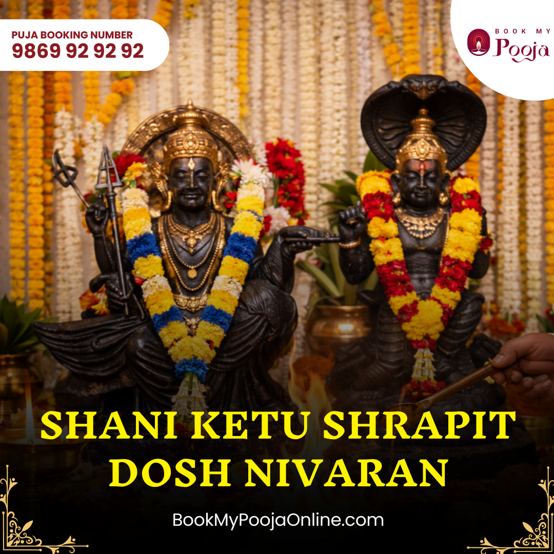 BookMyPooja Shani Ketu Shrapit Dosh Nivaran